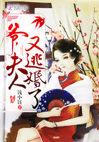 ү���������ӻ���