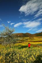 �½����ļ�