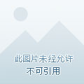 叮！无限求生游戏已上线
