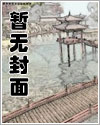 极光之境
