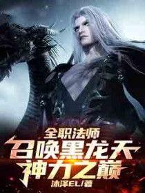 全职法师：召唤黑龙天，神力之巅