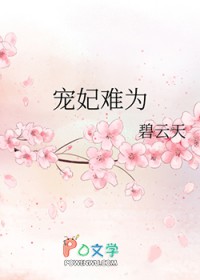 宠妃难为