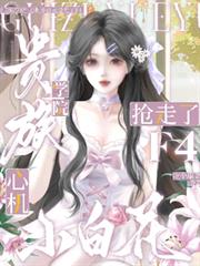 ����ѧԺ���Ļ�С�׻�������F4