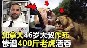 ����ĩ�գ���������