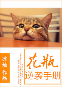 ��ƿ��Ϯ�ֲ�